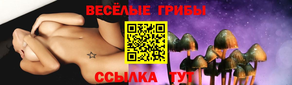 Ростов Великий  Галлюциногенные грибы мухоморы  Вход с VPN 